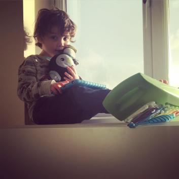 safe place for teddy